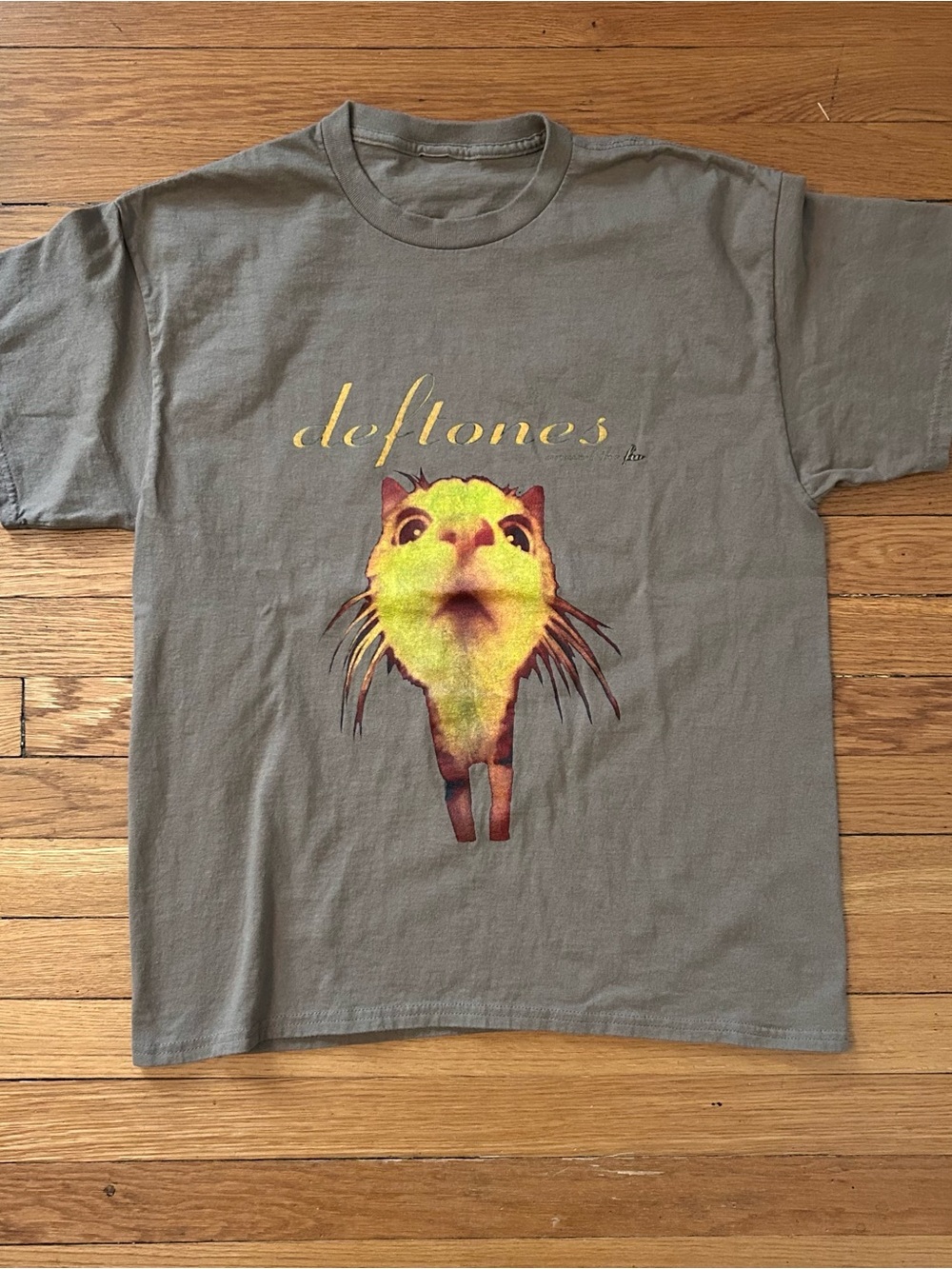 Large Deftones Around The Fur graphic tee.